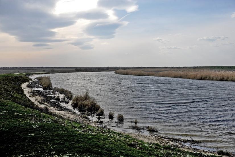 Шелюги з panoramio.com - Шелюги