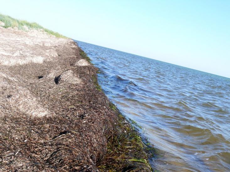 Геройське з panoramio.com - Geroyske