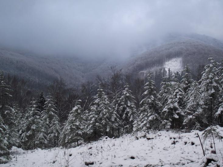 Чорноголова з panoramio.com - Черноголова