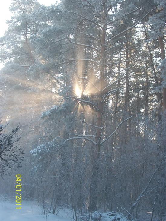 Райгородок з panoramio.com - Raygorodok