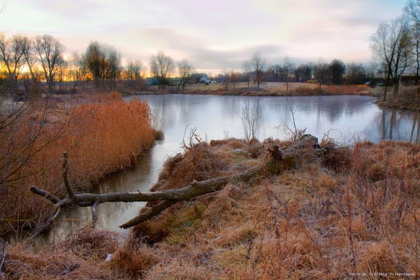 Великий Карашин з panoramio.com - Великий Карашин