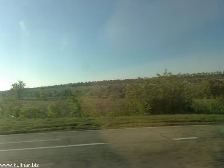 Василівка з panoramio.com - Василівка