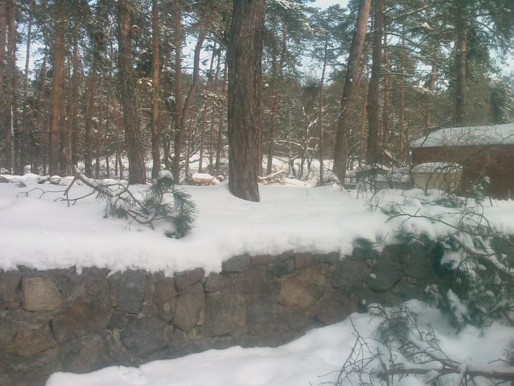 Лісники з panoramio.com - Лесники
