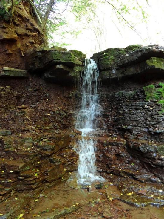 Скоморохи з panoramio.com - Скоморохи