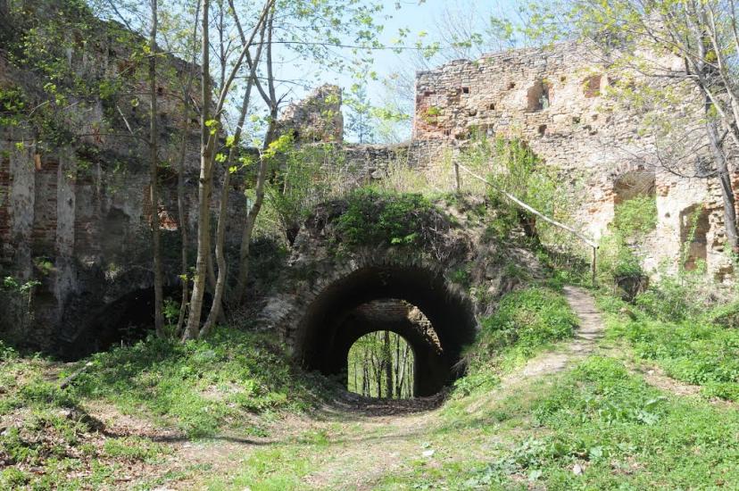 Добромиль з panoramio.com - Dobromyl