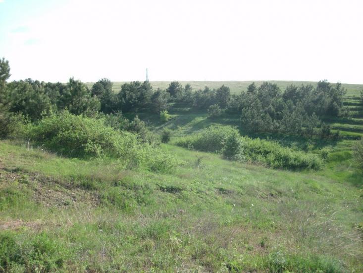 Мирне з panoramio.com - Мирное