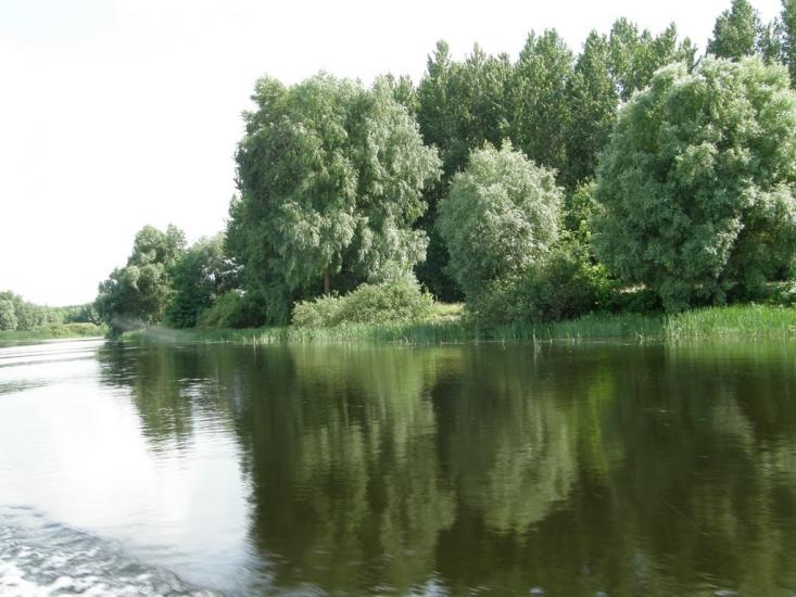 Тарасівка з panoramio.com - Тарасівка