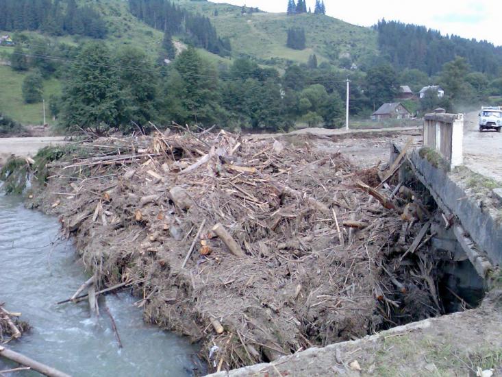Паркулина з panoramio.com - Паркулина