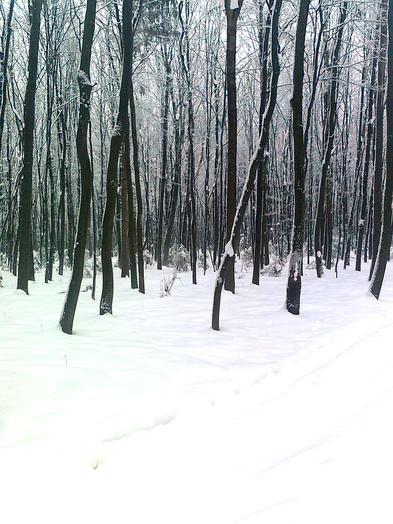 Паївка з panoramio.com - Паевка