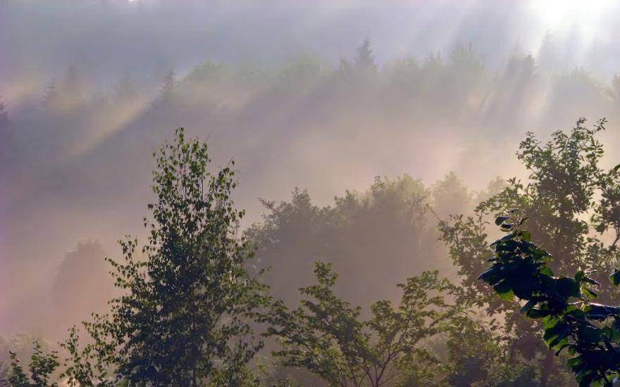 Підмихайля з panoramio.com - Подмихайло