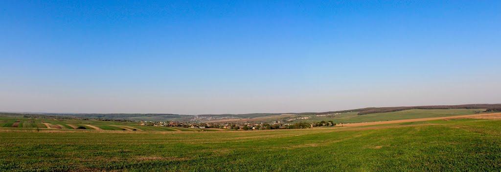 Вільшаниця з panoramio.com - Вільшаниця