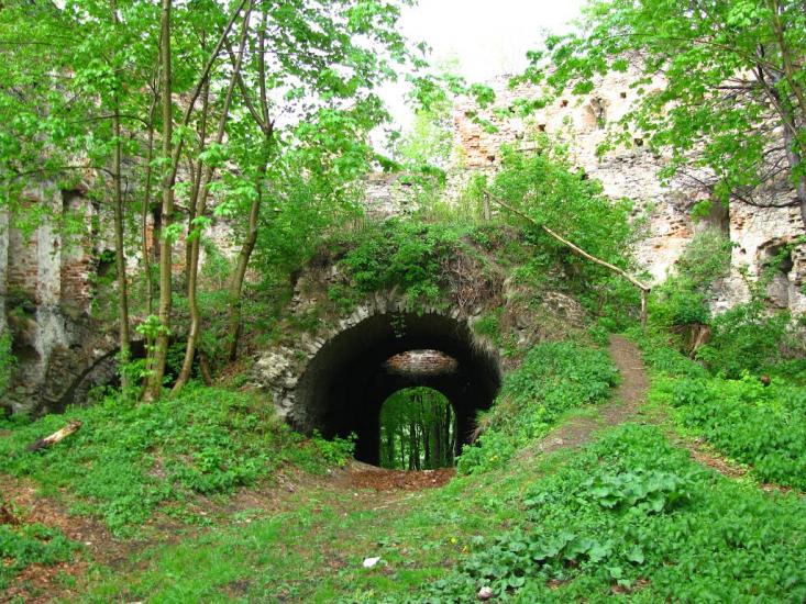 Добромиль з panoramio.com - Dobromyl