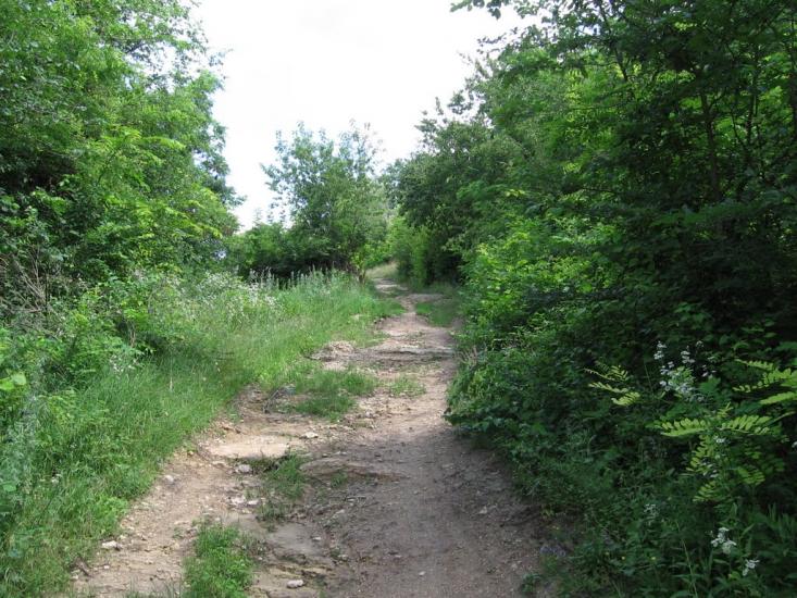 Загнітків з panoramio.com - Загнітків