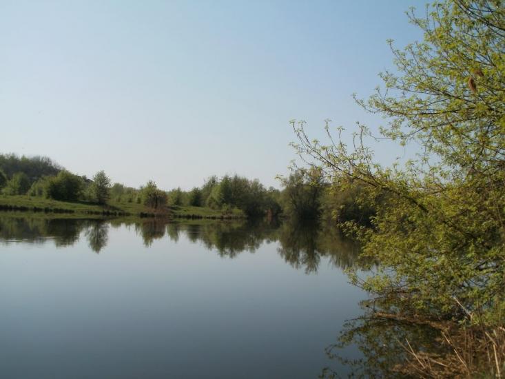 Четвертинівка з panoramio.com - Четвертинівка