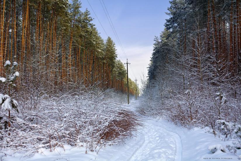 Великий Карашин з panoramio.com - Великий Карашин