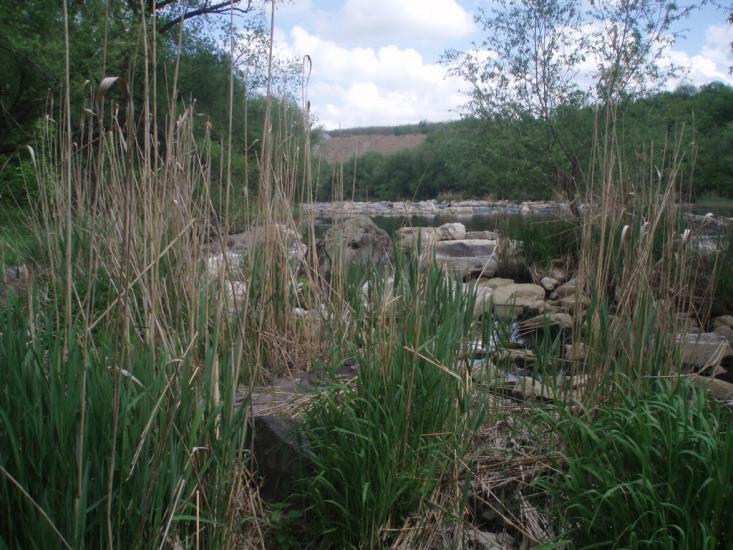 Соломія з panoramio.com - Соломия