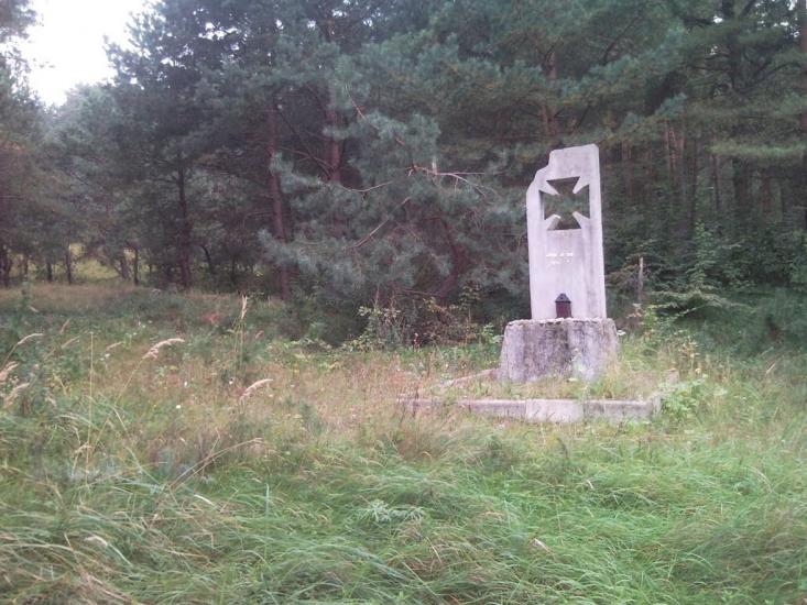 Гринів з panoramio.com - Гринів