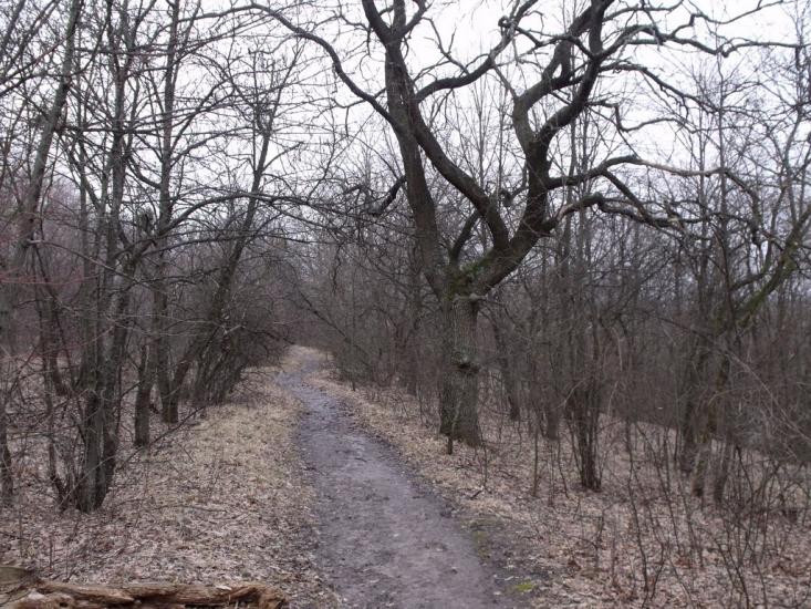 Гусина Поляна з panoramio.com - Гусина Поляна