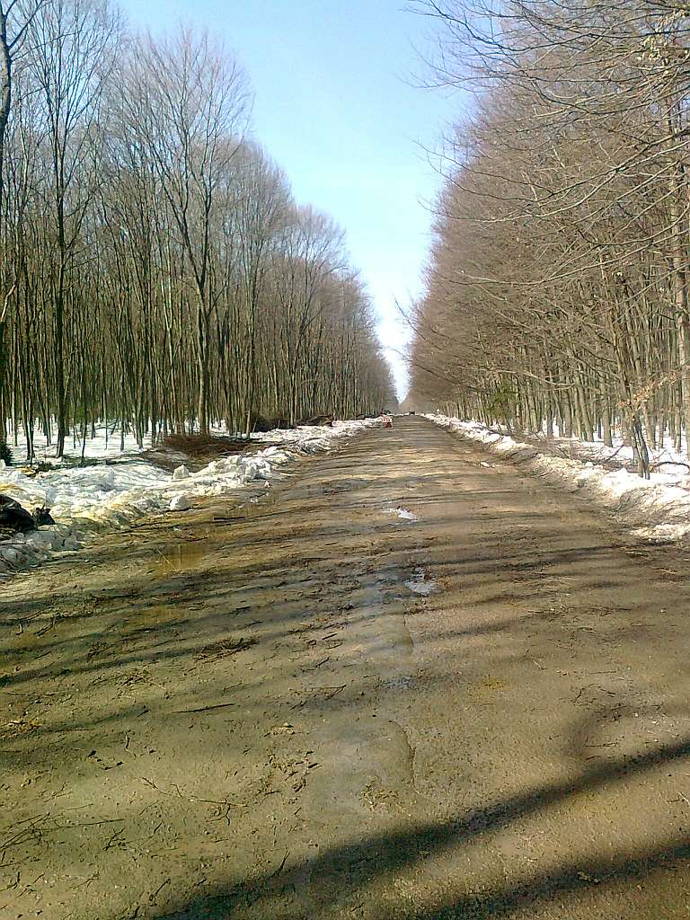 Паївка з panoramio.com - Паевка
