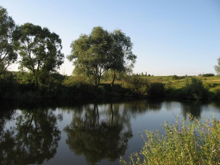 Нова Семенівка з panoramio.com - Нова Семенівка