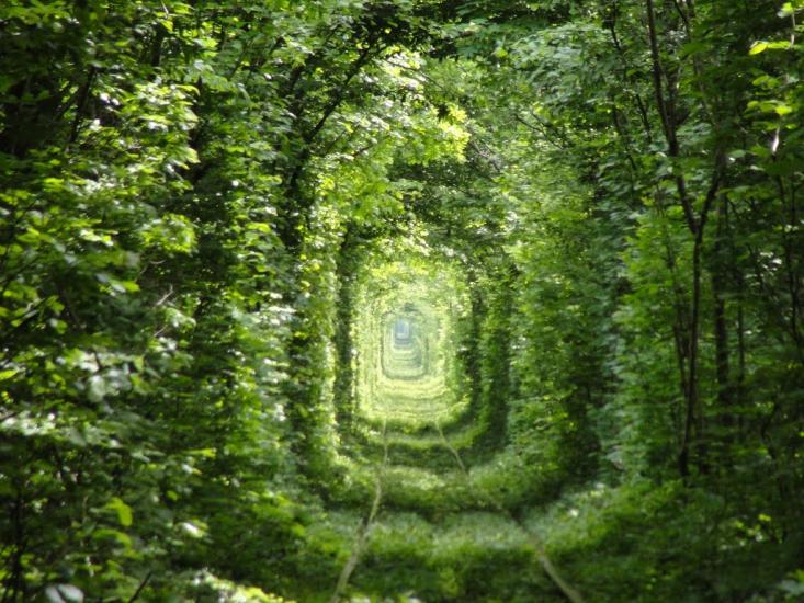Клевань з panoramio.com - Klevan
