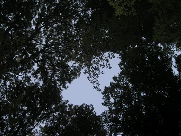 Грушківка з panoramio.com - Грушковка