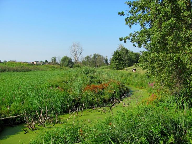 Кустин з panoramio.com - Кустин