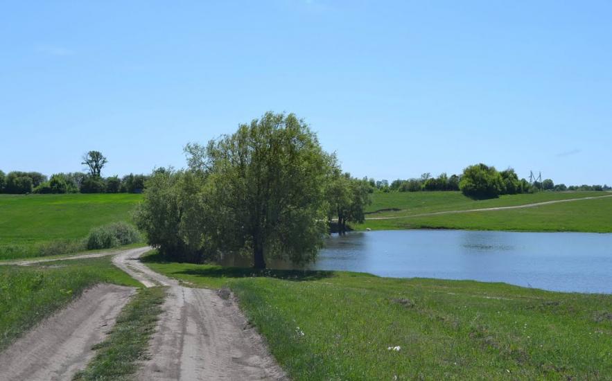 Виноградівка з panoramio.com - Виноградівка