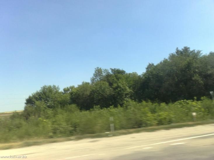 Василівка з panoramio.com - Василевка