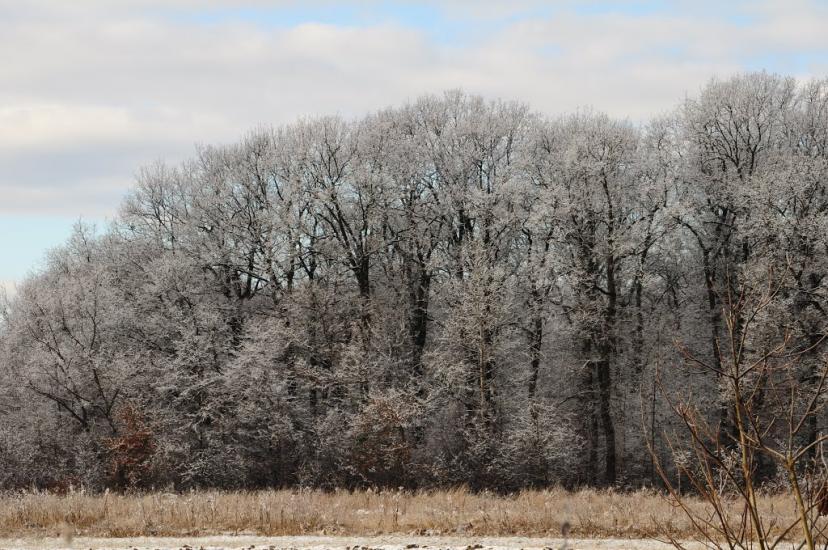 Раківчик з panoramio.com - Rakivchyk