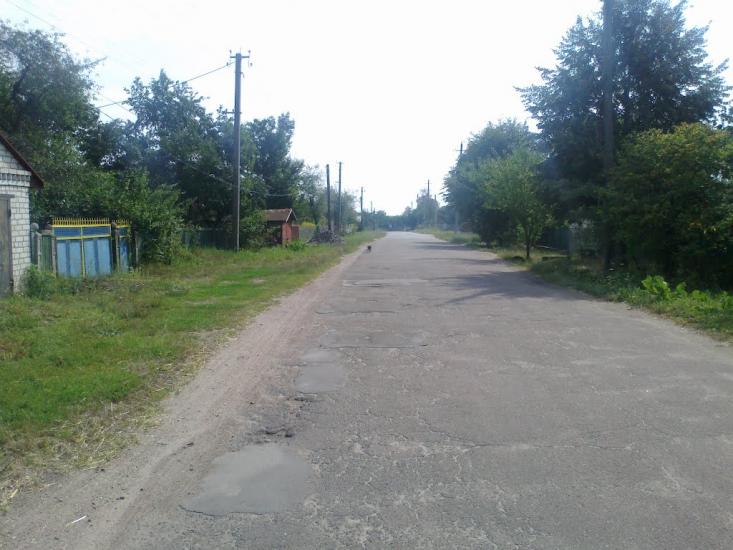 Нова Борова з panoramio.com - Новая Боровая