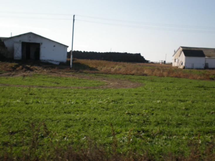 Графське з panoramio.com - Графское