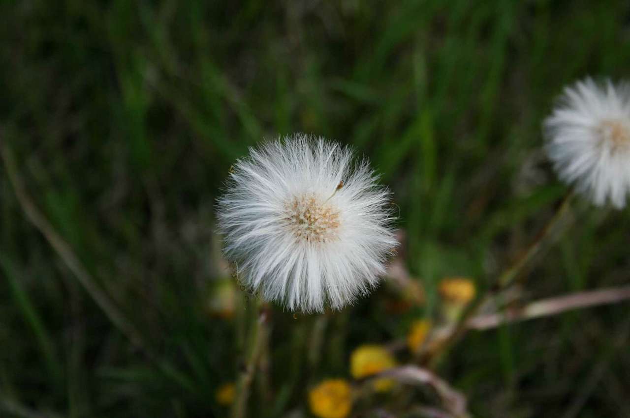 Весна на рідній землі - Кривчики