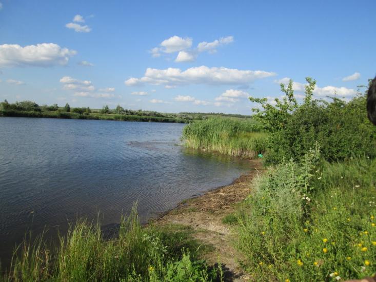 Єлизаветівка з panoramio.com - Єлизаветівка
