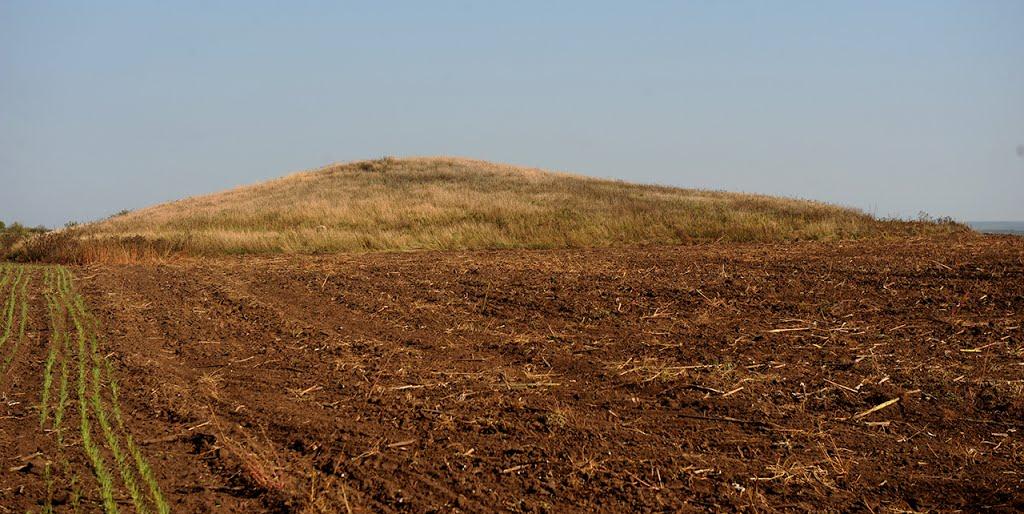 Нововасилівка з panoramio.com - Нововасилевка