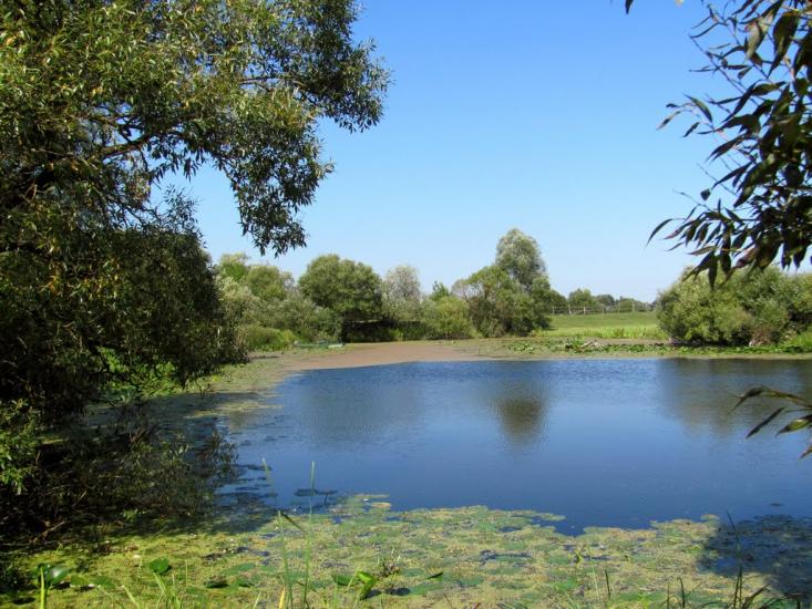 Мульчиці з panoramio.com - Мульчиці