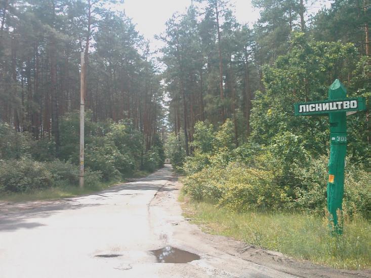 Лісники з panoramio.com - Лесники