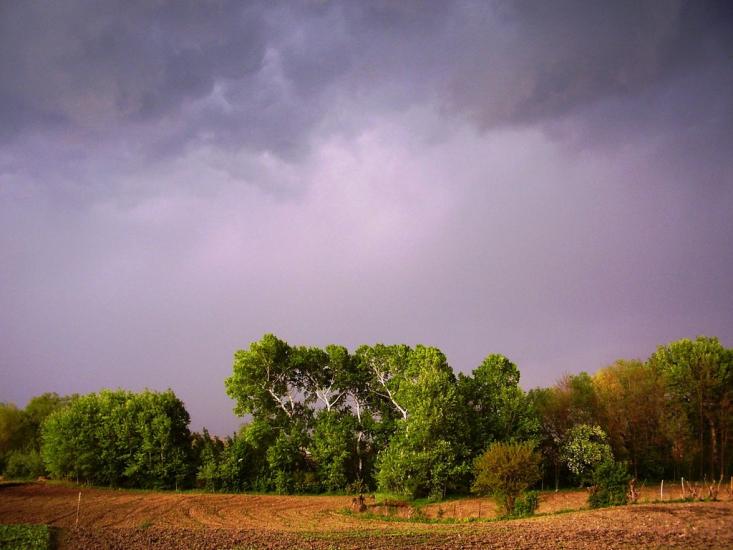 Тарасівці з panoramio.com - Тарасовцы