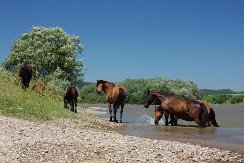 Горигляди з panoramio.com - Горигляди