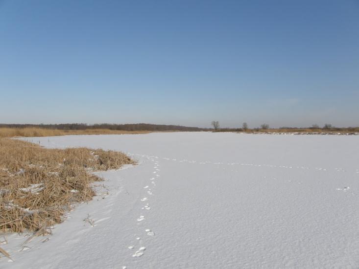 Оржиця з panoramio.com - Orzhytsya