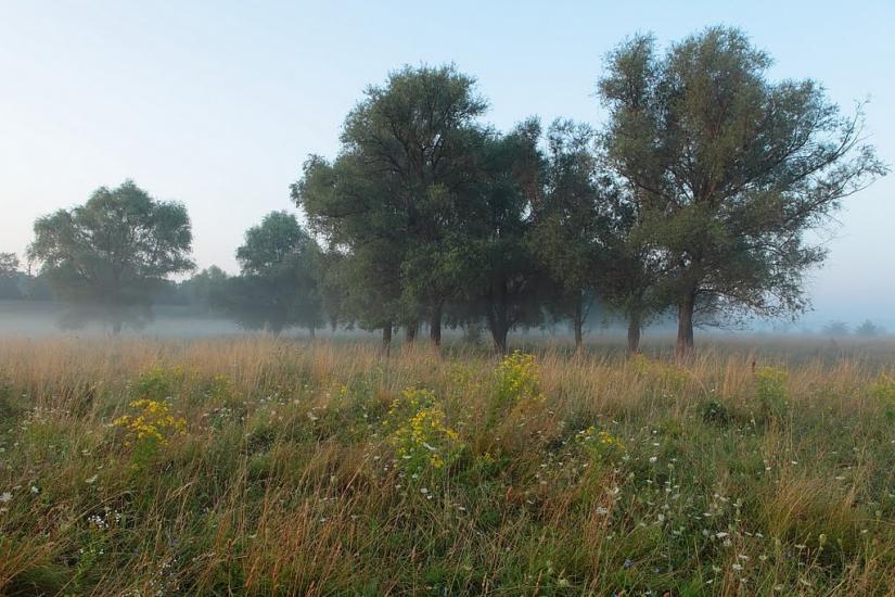 Дергачі з panoramio.com - Дергачи