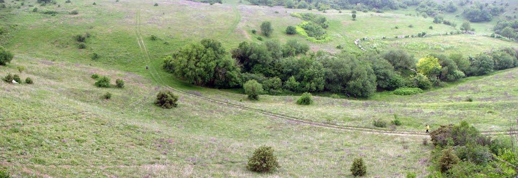 Глибокий Яр з panoramio.com - Глубокий Яр