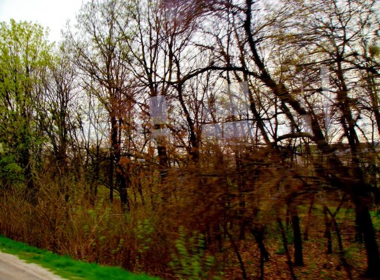 Піщана з panoramio.com - Піщана