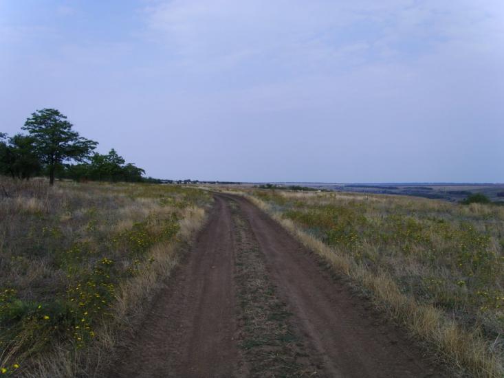 Березівка з panoramio.com - Березовка