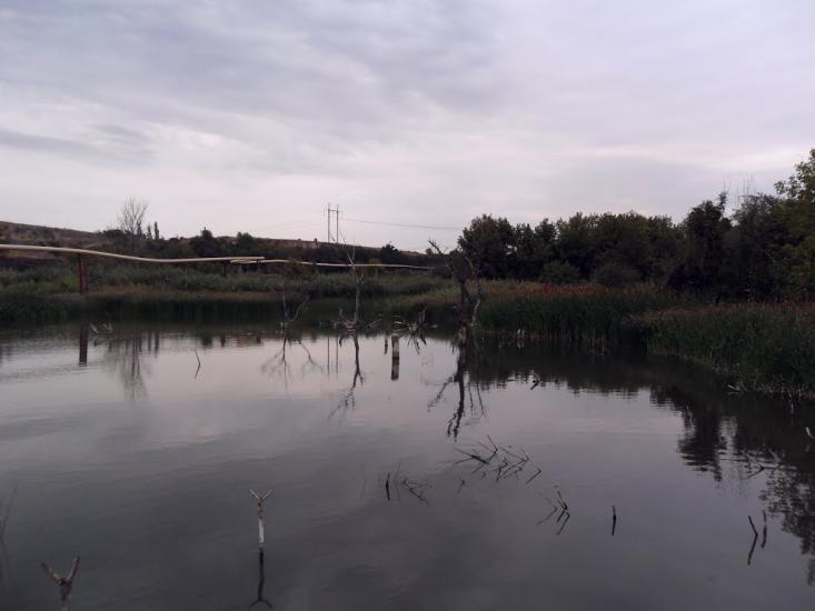 Ленінське з panoramio.com - Leninske