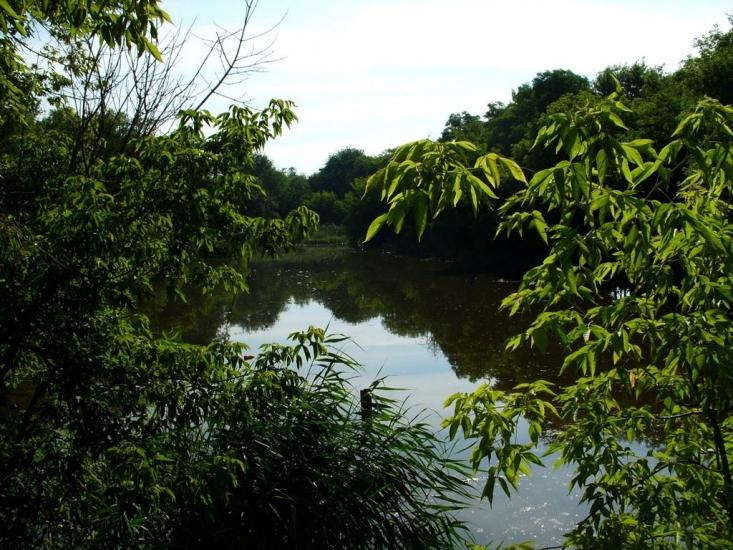 Саханка з panoramio.com - Саханка