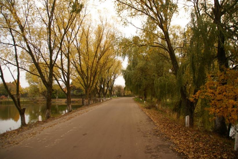 Вороніж з panoramio.com - Воронеж