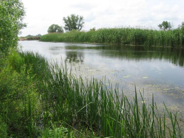 Старий Мохнач з panoramio.com - Старий Мохнач