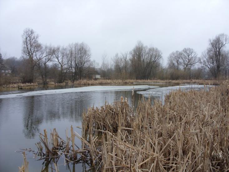 Білопілля з panoramio.com - Белополье
