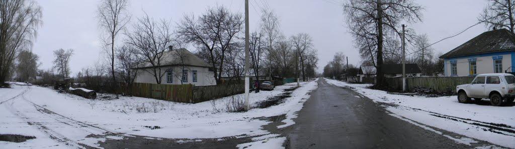 Рожнівка з panoramio.com - Rozhnivka